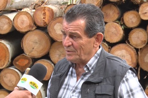 Alejandro Giudici - Productor Forestal -  Visita a Campo de los Nietos