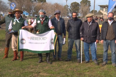 Hereford se floreó en la 128 Expo Ganadera de la Sociedad Rural de Gualeguaychú