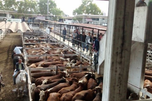 Agosto cerró con valores destacados en las vacas conservas