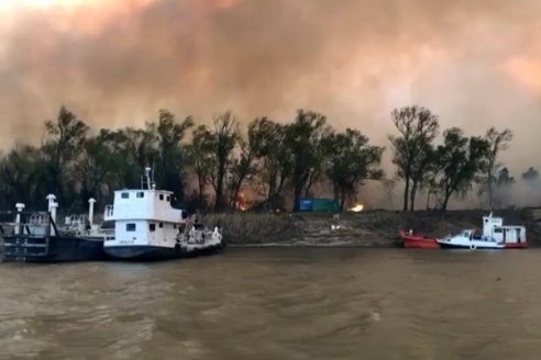 El nuevo plan contra incendios en islas es con novillos