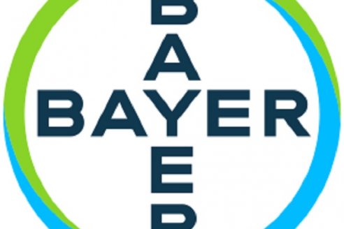 Cambios en el área de Comunicaciones de Bayer Cono Sur