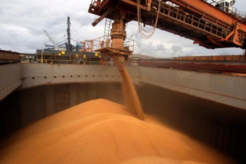 Suspendieron las exportaciones de harina y aceite de soja