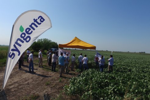 Recorrida a Campo: Manejo de enfermedades en soja y maíz en Aldea Maria Luisa - Raices del Este SRL y Syngenta