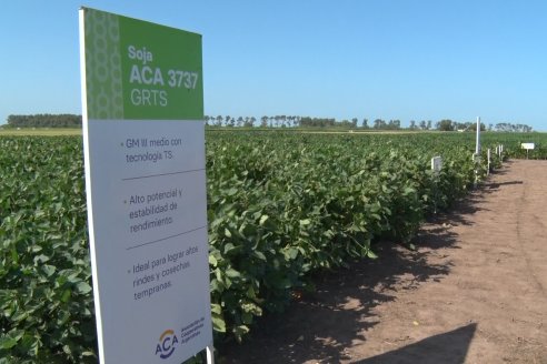 A Campo Abierto 2022 - Un fascinante recorrido por el futuro del agro argentino