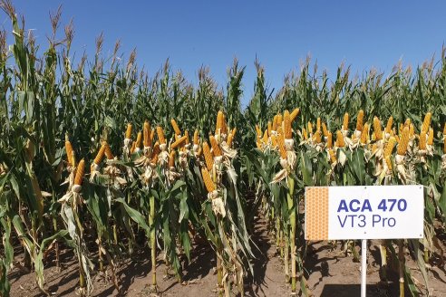 A Campo Abierto 2022 - Un fascinante recorrido por el futuro del agro argentino