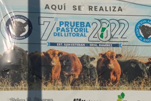 1era Jura Fenotipica de la 7ma Prueba Pastoril Angus del Litoral - Establecimiento Pilar - Ramirez