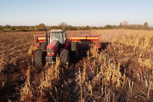 La siembra de trigo ya se realizó sobre 250.000 hectáreas en la provincia y ahora falta duplicar