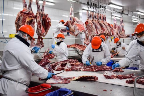 Desde el jueves amplían 15% el cupo de exportaciones para carne vacuna