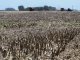 En la Argentina hay 23 millones de hectáreas que padecen la seca