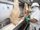 En Argelia vuelven a consumir la carne argentina con hueso