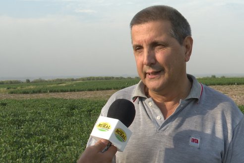 Diego Santos - EEA INTA Paraná -  Actualidad del cultivo de Soja.
