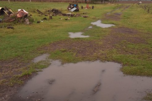 La lluvia prometida dejó 37 milímetros en lotes de Distrito Tala