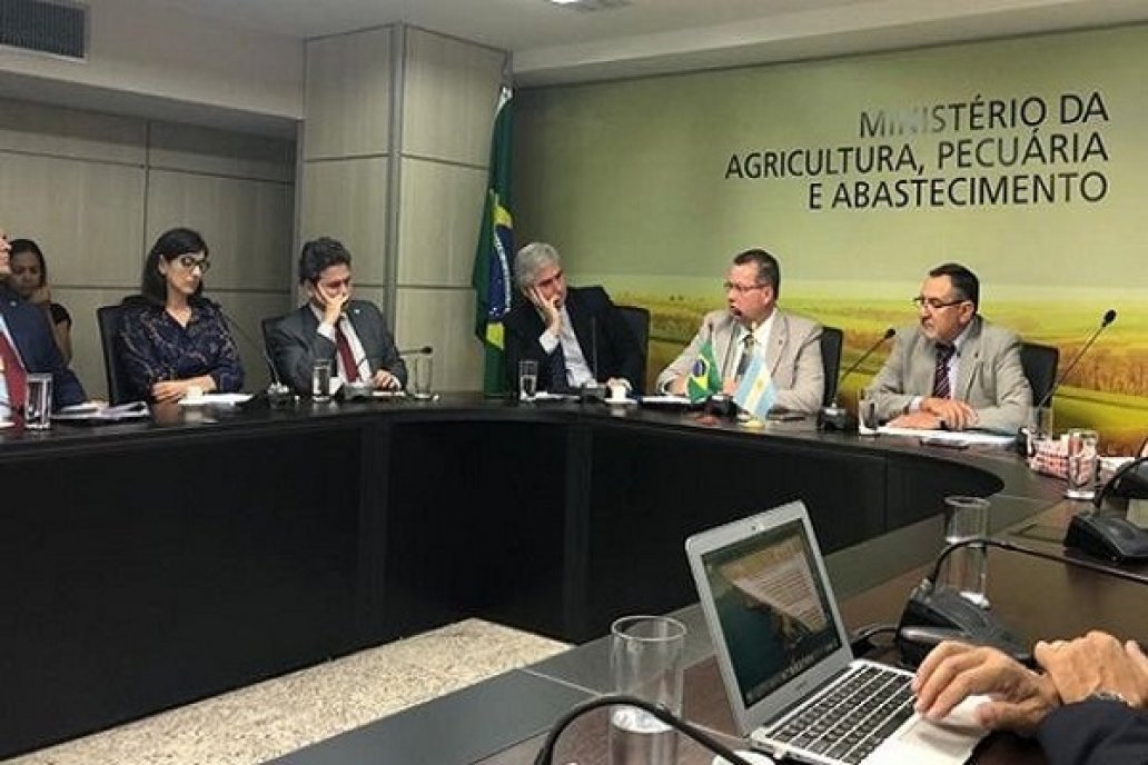 Encuentro bilateral entre funcionarios argentinos y brasileños.