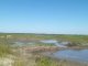 Identificaron diques ilegales para regar campos de arroz de La Paz