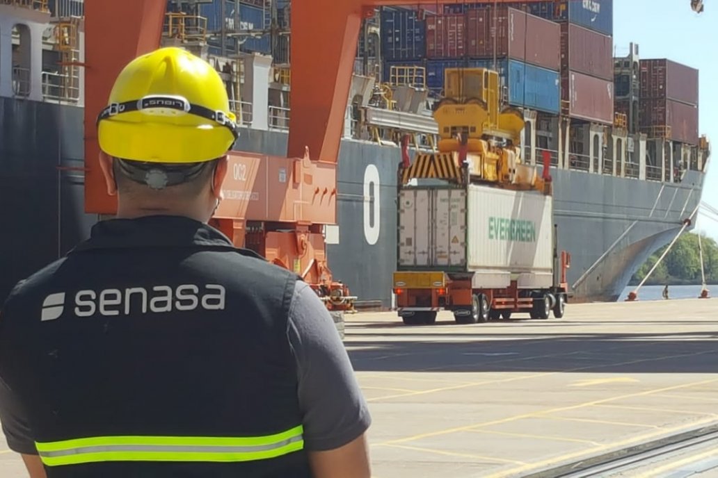 El staff del Senasa se amplió de 7 a 14 direcciones regionales