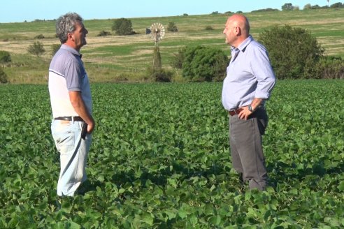Los rindes esperados para los granos gruesos generan buen humor en Paraná Campaña