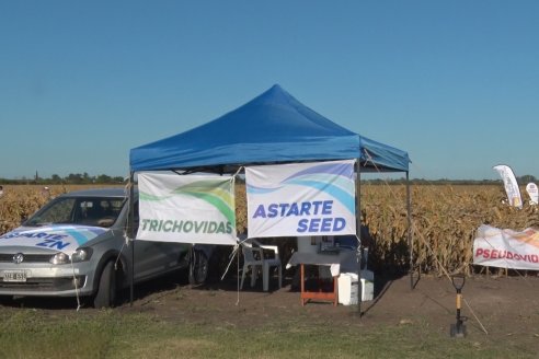 Jornada a Campo de Berardo Agropecuaria SRL - Potencial maicero y girasolero con tecnología y manejo - Urdinarrain