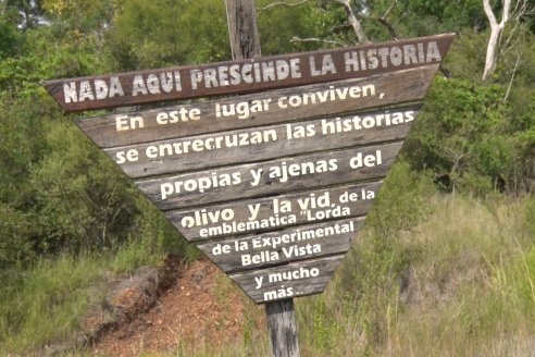 Vista a Establecimeinto Pampa Azul - Concordia - Vinos, Historia y una Reserva Natural se dan cita en un solo lugar