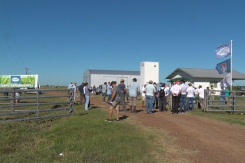 Día a Campo de Arroz - Campo Experimental de Fundación PROARROZ - San Salvador