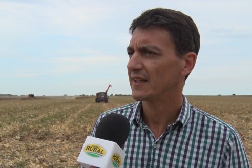 Mario Podversich - Productor Agropecuario  - Trilla de Maiz en Maria Grande Primera