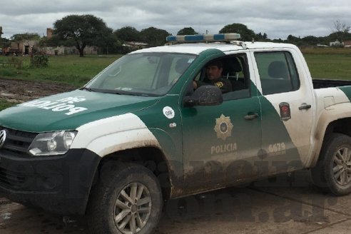Robaron 159 novillos en un campo de Santa Fe y ya recuperaron 114