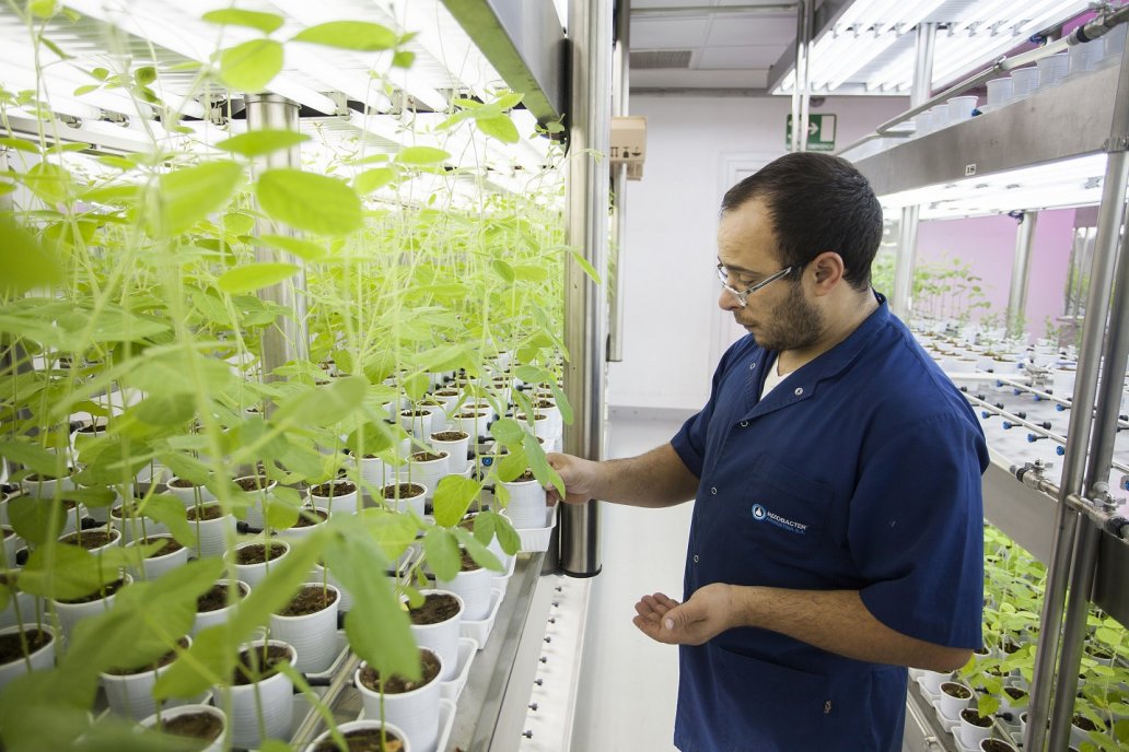 Rizobacter logra que el 23 % de la soja mundial se trate con sus tecnología. Rizobacter logra que el 23 % de la soja mundial se trate con sus tecnología.