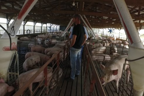 Jornada de la cadena de la Carne Porcina