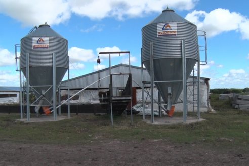 Visita a Estableciento La Delfina - Una producción mixta que encontró en el cerdo un agregado de valor