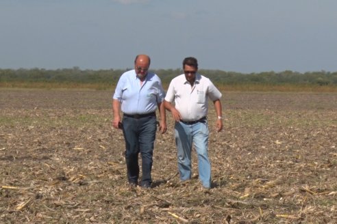 Presentacion a Campo - Rastra Multipropósito Kelly Giorgi Diamond Harrow 30/9 - El Tatú Maquinarias