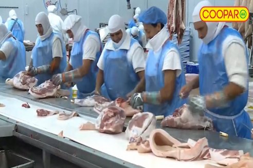 Marcelo Pagliaruzza - Gte.Coop.Agric.Gan.Aranguren Ltda.- Exportación de Carne de Cerdo