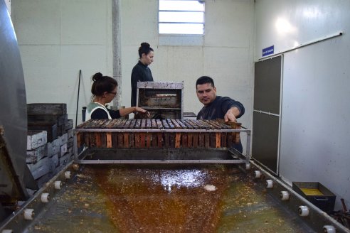 Apicultores de Paraná exportan su miel con destino a España