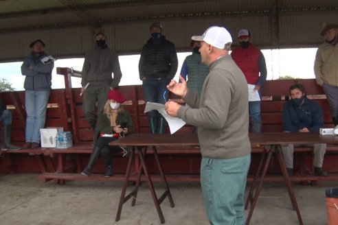 Capacitación de los profesionales de Veterinaria Hernandez - Calidad seminal: en busca del toro atleta de alta perfomance