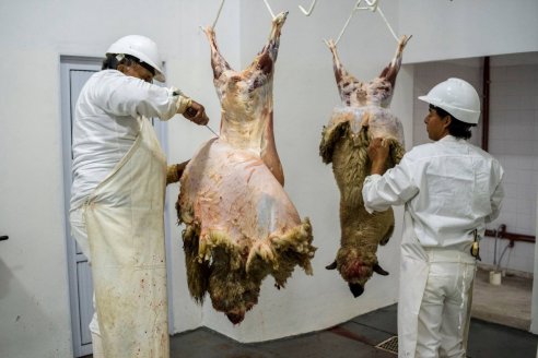 La carne ovina argentina incrementó su exportación en 2,5%, en 7 meses