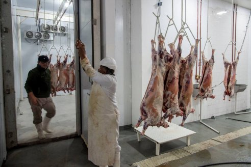 Productores ovinos de Entre Ríos exportaron 17 toneladas de carne a Omán y se viene otra venta a Kuwait