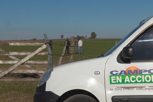 Recorrida por pasturas en campos de Rincón del Nogoyá - Alfalfa Pura y Pasturas Consociadas - Agrofé Campo y Gentos