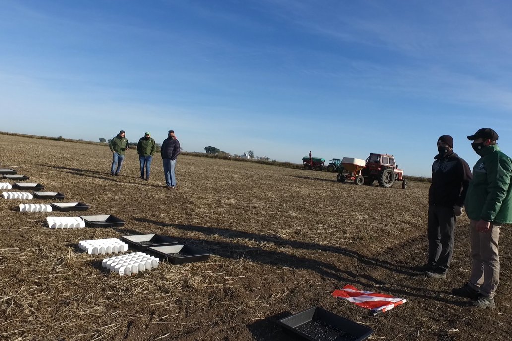 Tras la trilla se conocerán los resultados de las diferentes estrategias.