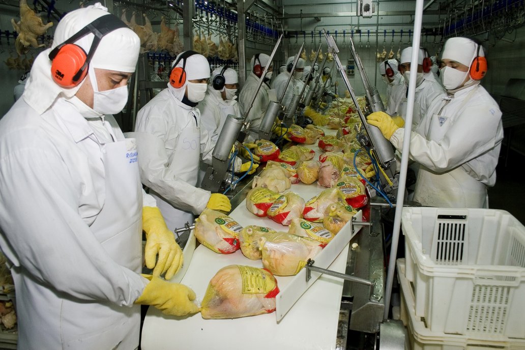 Sin casos positivos de Influenza, Entre Ríos vuelve al mercado global del pollo.