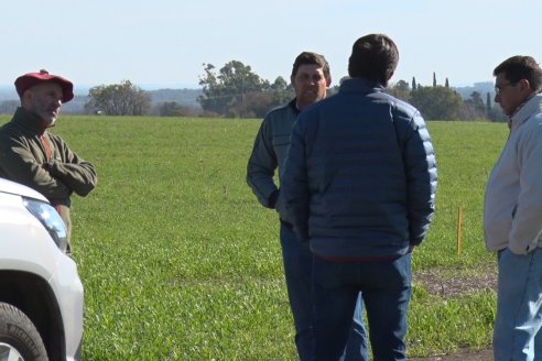 Visita a Establecimiento San Alfonso - Sanidad del Cultivo del Trigo