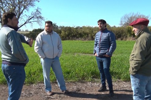 Visita a Establecimiento San Alfonso - Sanidad del Cultivo del Trigo