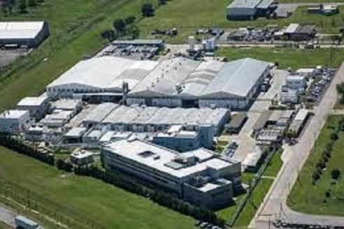 El insecticida más vendido del mundo ya se fabrica en Argentina