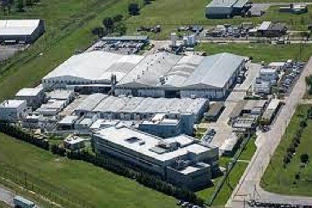 El insecticida más vendido del mundo ya se fabrica en Argentina