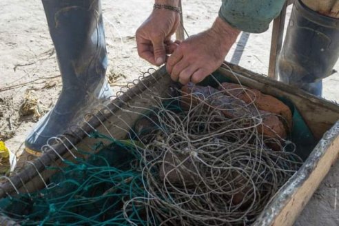 Proyectan políticas públicas regionales para los controles de pesca