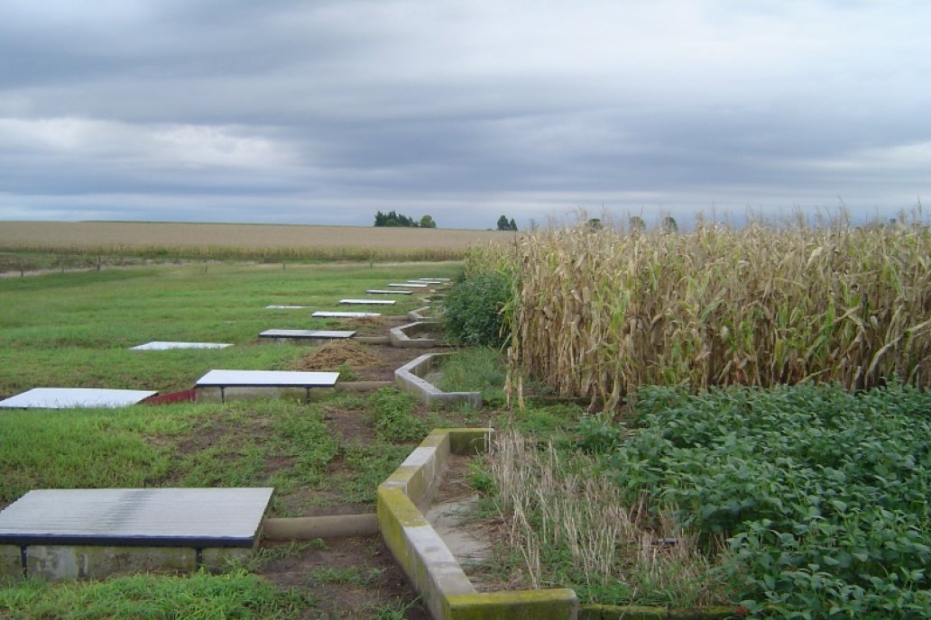 El dispositivo mide la relación del cultivo con la erosión hídrica y de suelos.