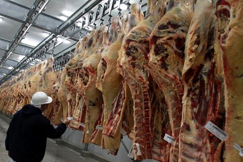 Exportaciones uruguayas de carne vacuna aumentaron 48,9%