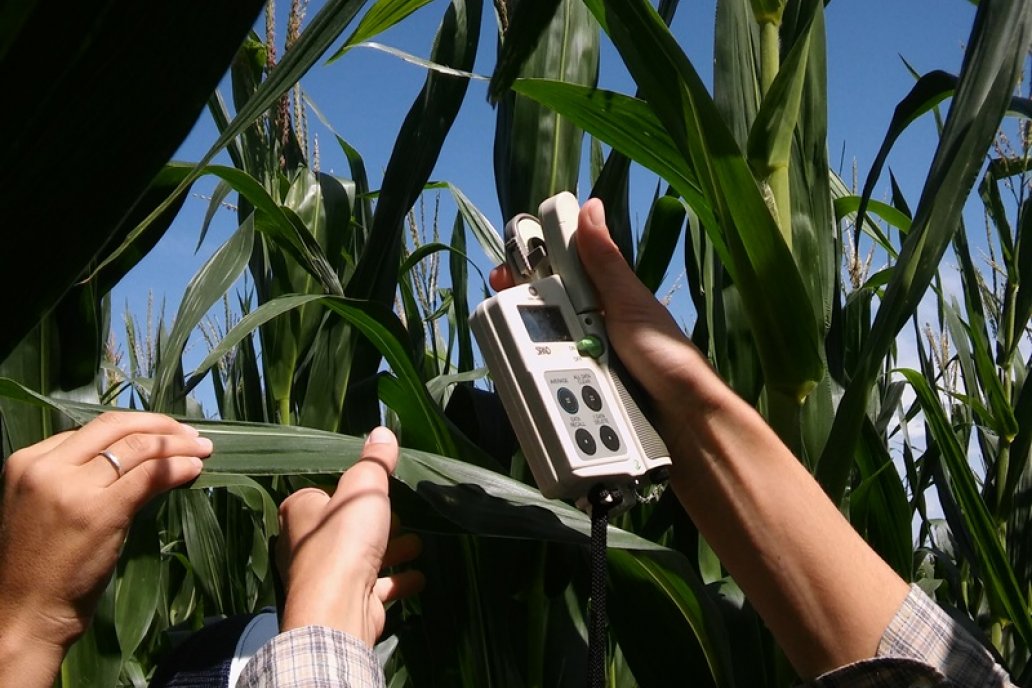 El incremento, en relación al año pasado, oscila en torno al 2%.