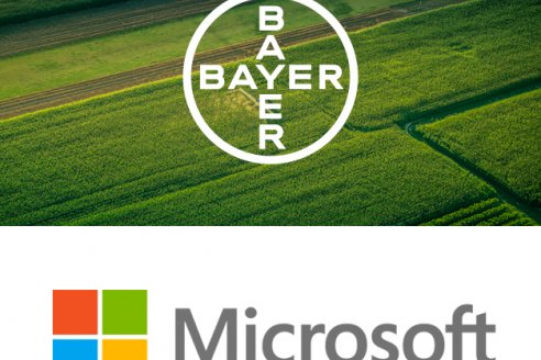 Bayer y Microsoft establecen una asociación estratégica para optimizar y promover las capacidades digitales para cadena de valor