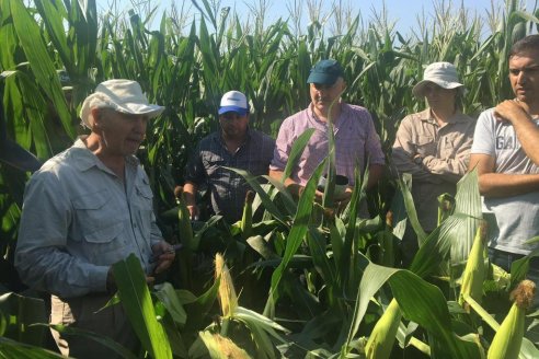 Colaboración, modelos agronómicos y tokenización