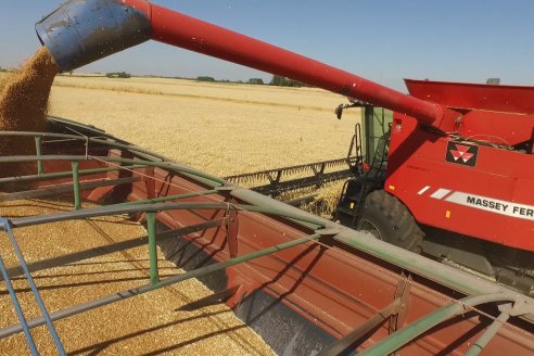 Productores concretaron la segunda mayor venta de granos de la historia