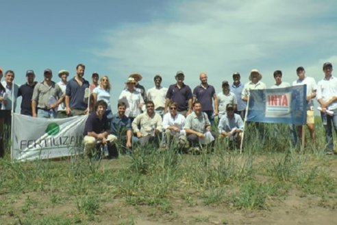 Alerta potasio: la deficiencia de este nutriente ya limita los rendimientos