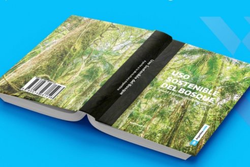 Presente, pasado y futuro del monte nativo argentino